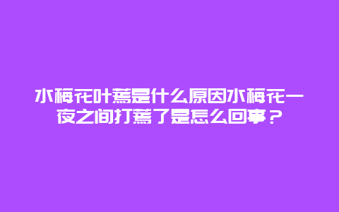 水梅花叶蔫是什么原因水梅花一夜之间打蔫了是怎么回事？