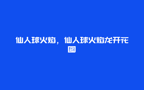 仙人球火焰，仙人球火焰龙开花图