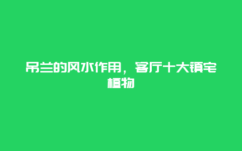 吊兰的风水作用，客厅十大镇宅植物