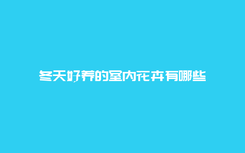 冬天好养的室内花卉有哪些