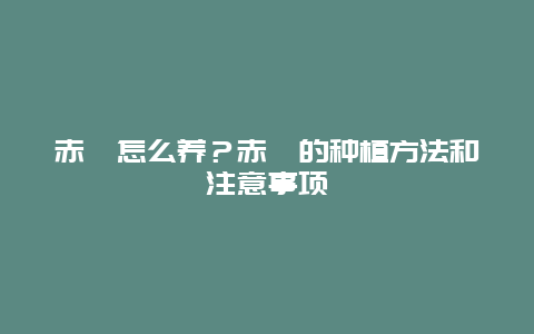 赤楠怎么养？赤楠的种植方法和注意事项