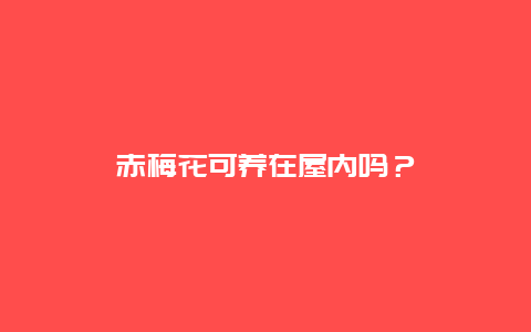 赤梅花可养在屋内吗？