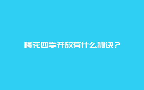 梅花四季开放有什么秘诀？