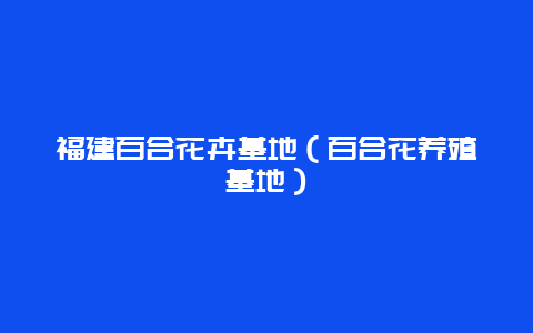 福建百合花卉基地（百合花养殖基地）