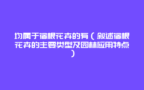 均属于宿根花卉的有（叙述宿根花卉的主要类型及园林应用特点）