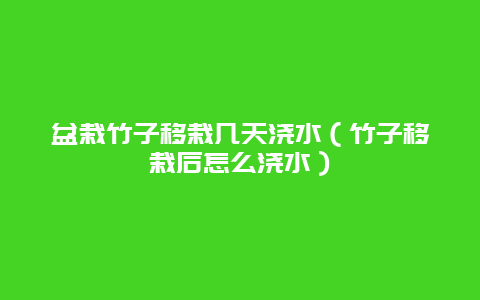 盆栽竹子移栽几天浇水（竹子移栽后怎么浇水）