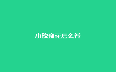 小玫瑰花怎么养