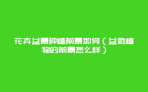 花卉盆景种植前景如何（盆栽植物的前景怎么样）