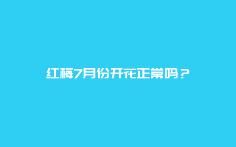 红梅7月份开花正常吗？