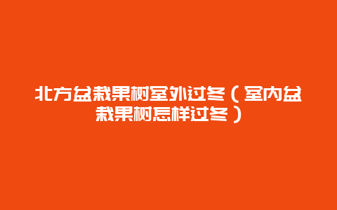 北方盆栽果树室外过冬（室内盆栽果树怎样过冬）