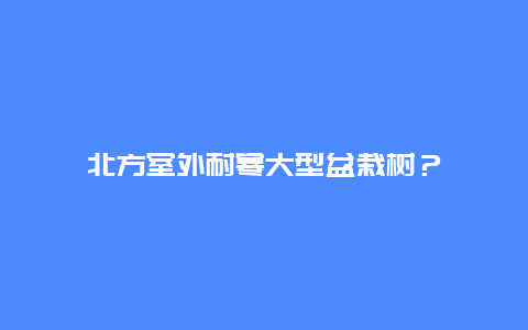 北方室外耐寒大型盆栽树？