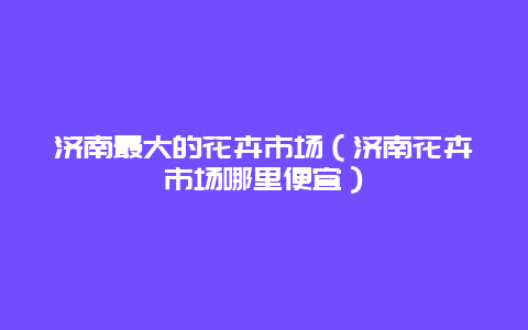 济南最大的花卉市场（济南花卉市场哪里便宜）