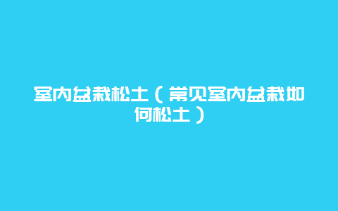 室内盆栽松土（常见室内盆栽如何松土）