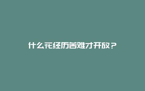 什么花经历苦难才开放？