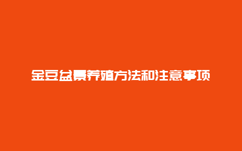 金豆盆景养殖方法和注意事项