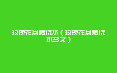 玫瑰花盆栽浇水（玫瑰花盆栽浇水多久）