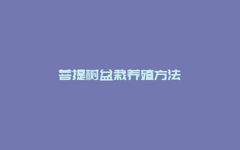 菩提树盆栽养殖方法