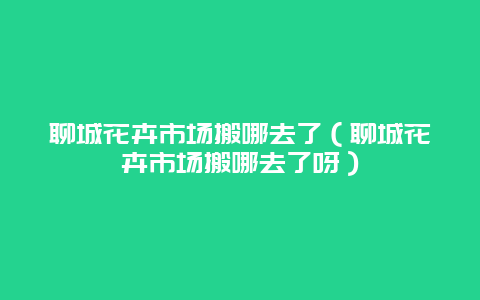 聊城花卉市场搬哪去了（聊城花卉市场搬哪去了呀）