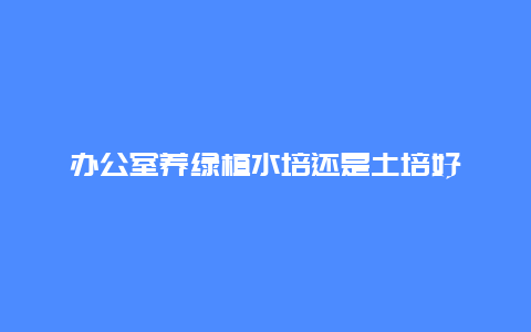 办公室养绿植水培还是土培好