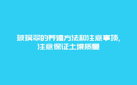 玻璃翠的养殖方法和注意事项,注意保证土壤质量