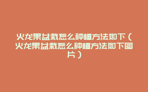 火龙果盆栽怎么种植方法如下（火龙果盆栽怎么种植方法如下图片）