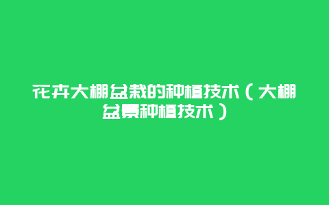 花卉大棚盆栽的种植技术（大棚盆景种植技术）