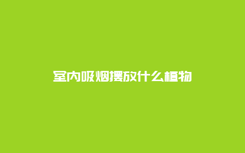 室内吸烟摆放什么植物