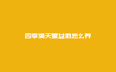 四季满天星盆栽怎么养