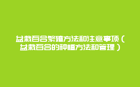 盆栽百合繁殖方法和注意事项（盆栽百合的种植方法和管理）