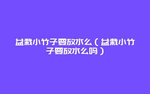 盆栽小竹子要放水么（盆栽小竹子要放水么吗）