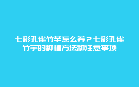 七彩孔雀竹芋怎么养？七彩孔雀竹芋的种植方法和注意事项