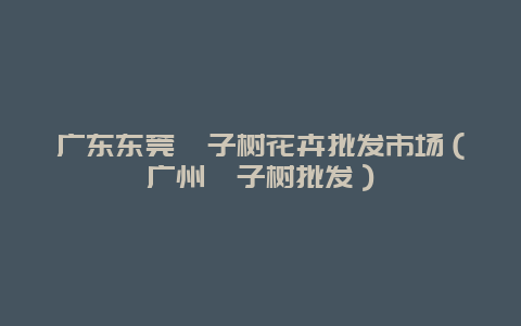 广东东莞桔子树花卉批发市场（广州桔子树批发）