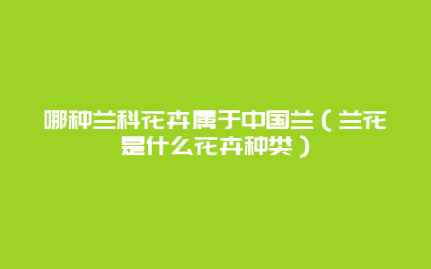 哪种兰科花卉属于中国兰（兰花是什么花卉种类）