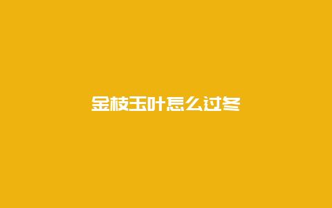 金枝玉叶怎么过冬