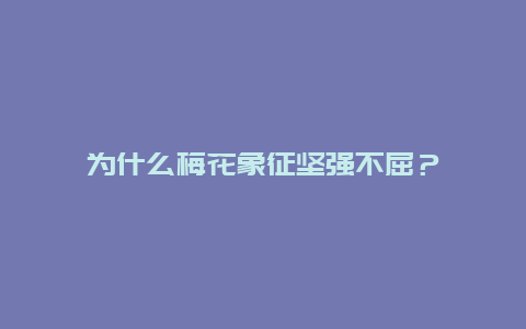 为什么梅花象征坚强不屈？