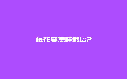 梅花要怎样栽培?