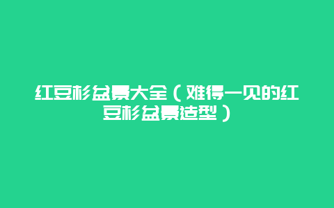 红豆杉盆景大全（难得一见的红豆杉盆景造型）