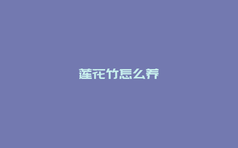 莲花竹怎么养