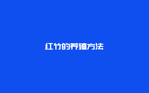 红竹的养殖方法