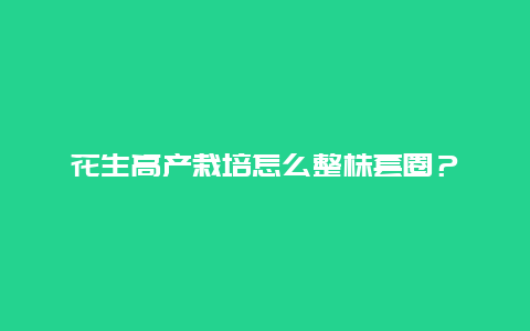 花生高产栽培怎么整株套圈？