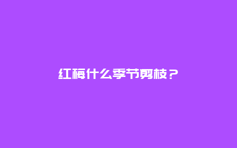 红梅什么季节剪枝？