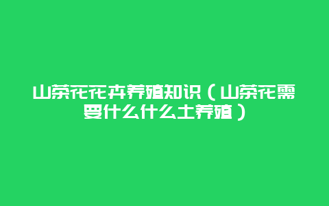 山茶花花卉养殖知识（山茶花需要什么什么土养殖）