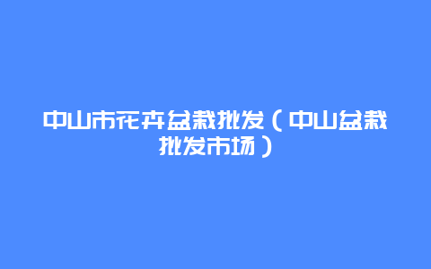 中山市花卉盆栽批发（中山盆栽批发市场）