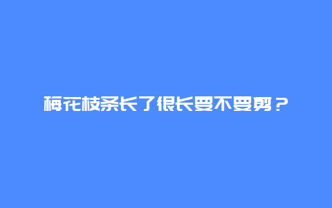 梅花枝条长了很长要不要剪？