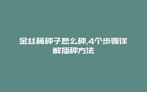 金丝梅种子怎么种,4个步骤详解播种方法