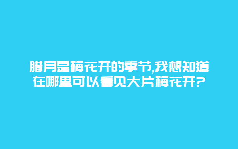 腊月是梅花开的季节,我想知道在哪里可以看见大片梅花开?