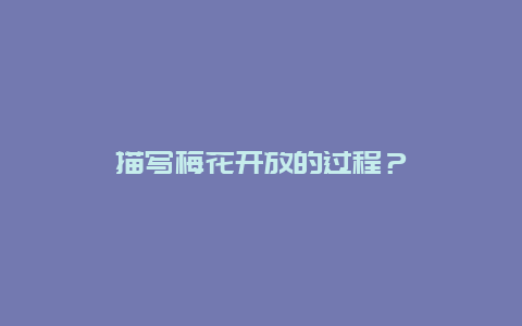 描写梅花开放的过程？