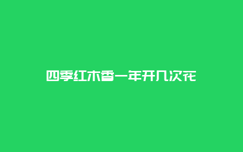 四季红木香一年开几次花