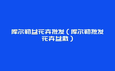 库尔勒盆花卉批发（库尔勒批发花卉盆栽）