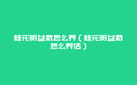 桂花树盆栽怎么养（桂花树盆栽怎么养活）